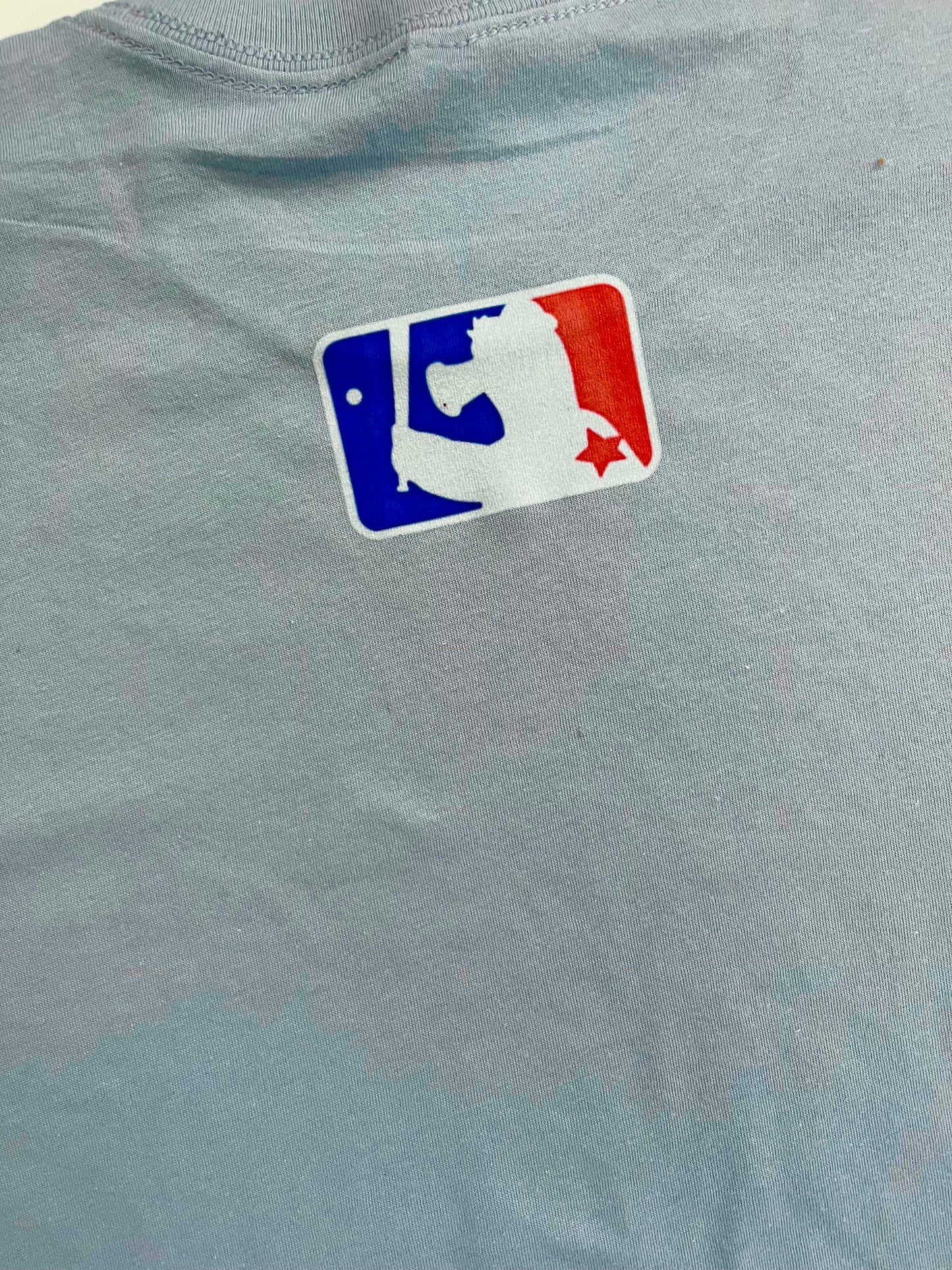 Women's Cropped T-Shirt in Stone Blue